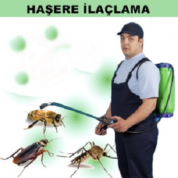 Hassa Böcek İlaçlama